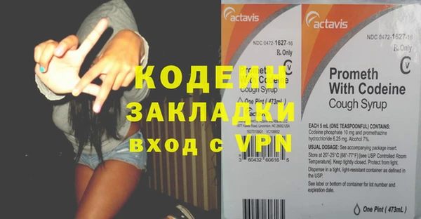 хмурый Касимов