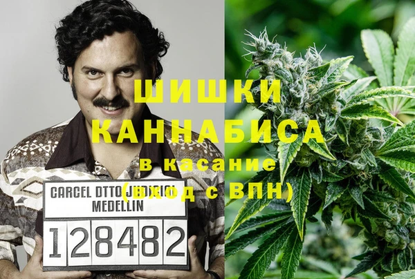 хмурый Касимов
