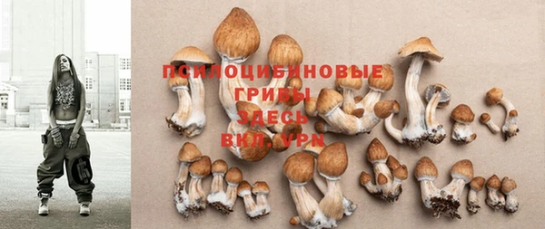 хмурый Карталы