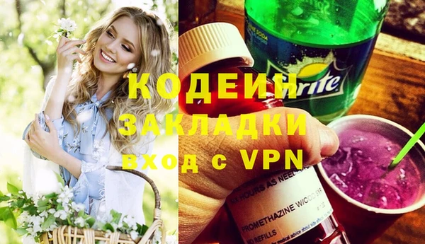 хмурый Касимов
