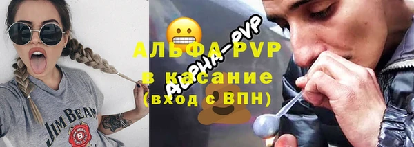 хмурый Касимов