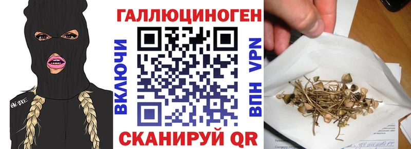 Купить где  Грозный  Галлюциногенные грибы Psilocybe 